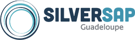 Silversap Guadeloupe Logo