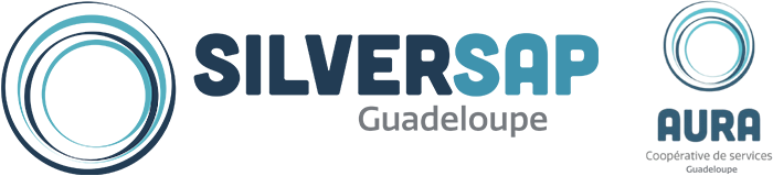 Silversap Guadeloupe Logo